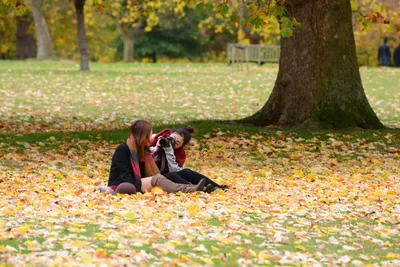 DSC_0593 (Large).JPG